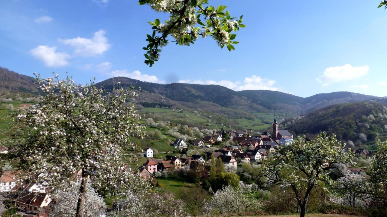 Les Gites La Cerisaie Breitenbach エクステリア 写真