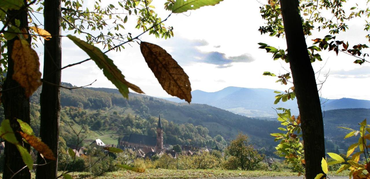 Les Gites La Cerisaie Breitenbach エクステリア 写真